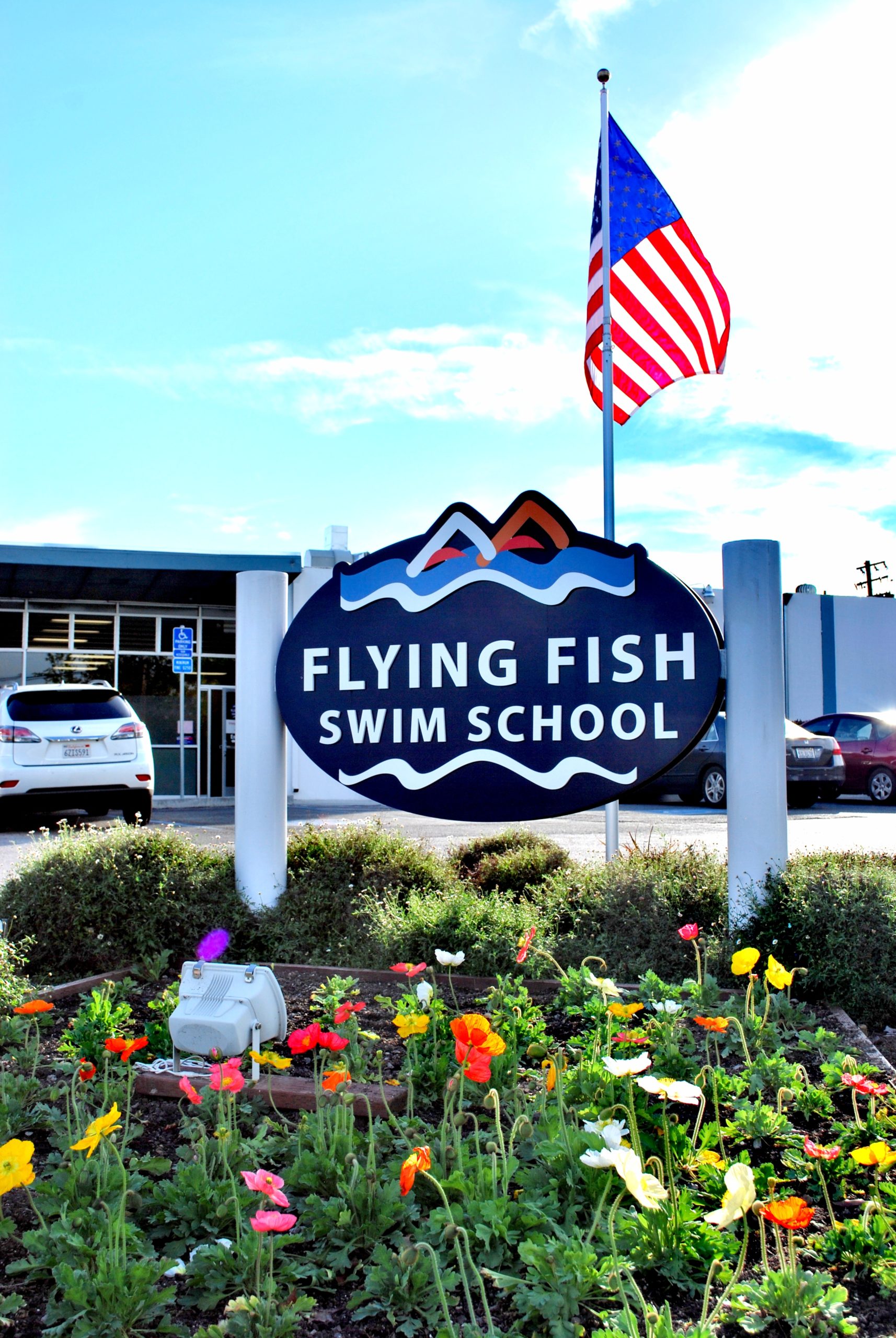 Summer Regular 2023 - Flying Fish Swim School